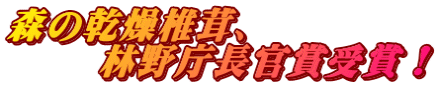 森の乾燥椎茸、 林野庁長官賞受賞!