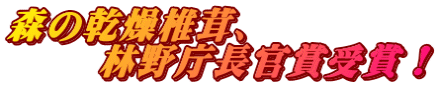 森の乾燥椎茸、 　　 林野庁長官賞受賞！